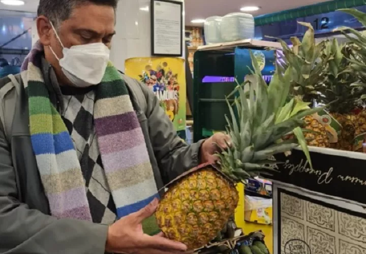 La producción de piña en el país tiene un costo de 6 mil dólares por hectáreas, lo que hace poco rentable las exportaciones en la actualidad. Foto: Cortesía