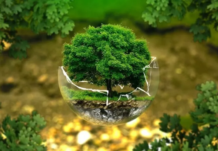 La gala de premiación tendrá lugar el domingo 24. Foto: Ilustrativa / Pixabay