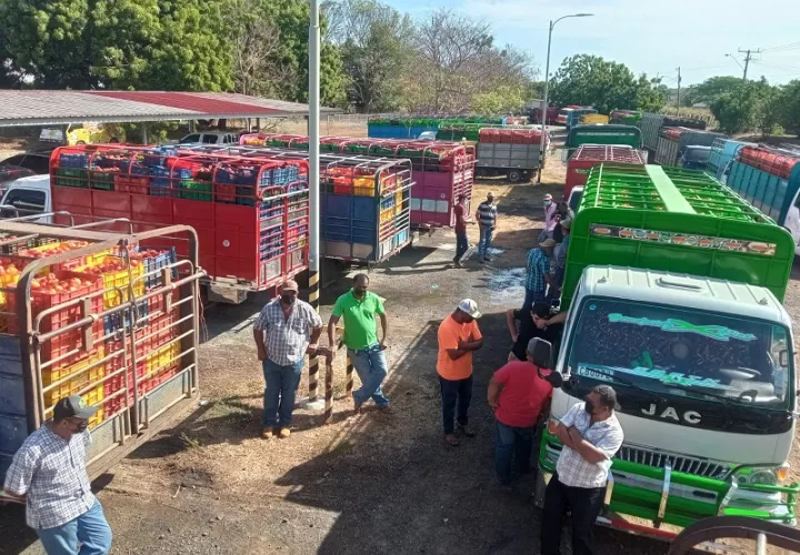 Los camiones cargados de fruta están varados en las afueras de la compañía comercializadora. Foto: Thays Domínguez