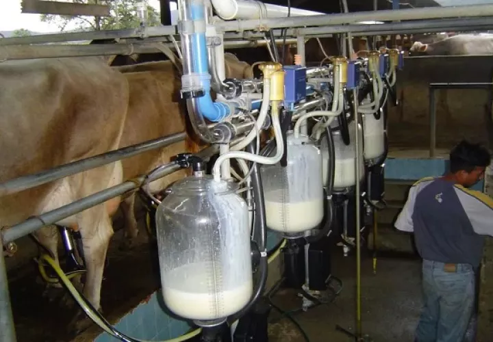 Los productos lácteos podrían verse afectados por el tratado. Foto: Mida
