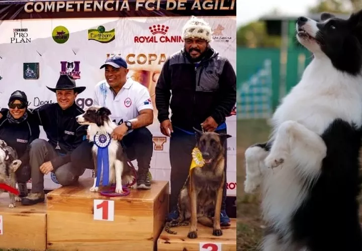 adiestrador1_pa.jpg