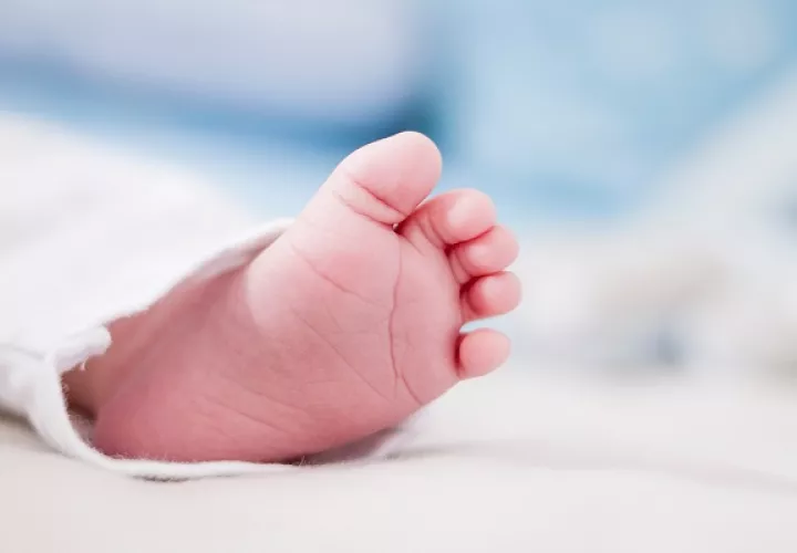 Los bebés  presentaron hemorragias. Foto. Pexels