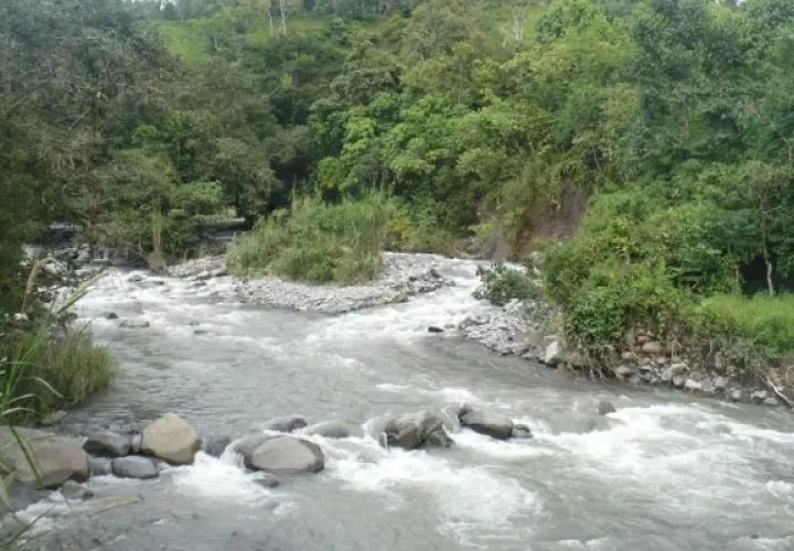 En la zona se identifican algunas fuentes de agua de mucha relevancia para la comunidad, como lo son: río Chiriquí Viejo, Macho Monte, quebrada Castillo, pozo Brisas del Norte y el pozo 6 de agosto. Foto. MiAmbiente