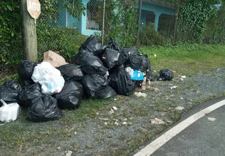 La huelga de los recolectores de Aguaseo ya tiene unos cinco días. Foto. Diomedes Sánchez