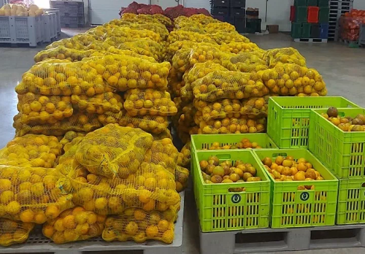 En esta semana se decomisaron pixbae y naranjas que no tenían registros. Foto: Cortesía Aduanas