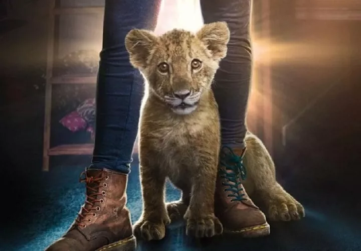 'King'.  Foto: Internet