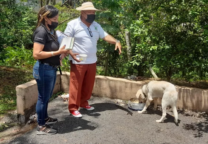 La mayoría de las denuncias son por abandono y maltrato animal. Foto: Eric A. Montenegro