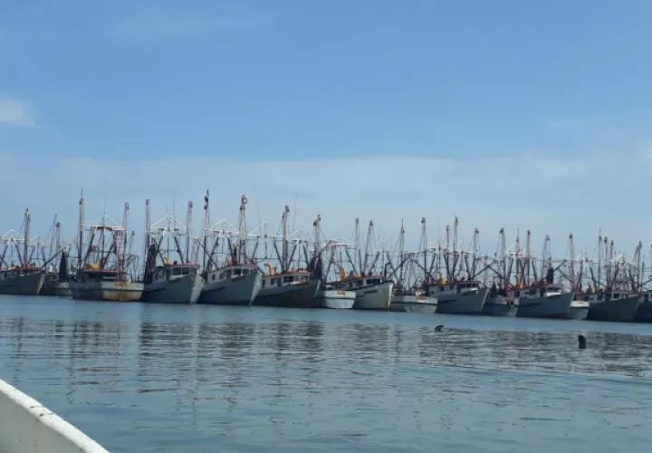 En la provincia de Panamá Oeste, unas mil embarcaciones artesanales están listas para zarpar. Tan solo en Puerto Caimito, distrito de La Chorrera, unas 300 pangas se harán a la mar. Foto. Eric Montenegro
