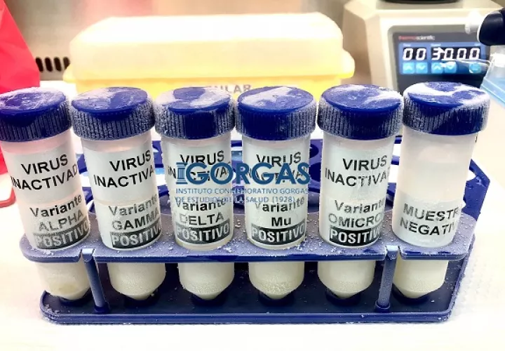 En Panamá se han detectado múltiples variantes de coronavirus. Foto: Gorgas
