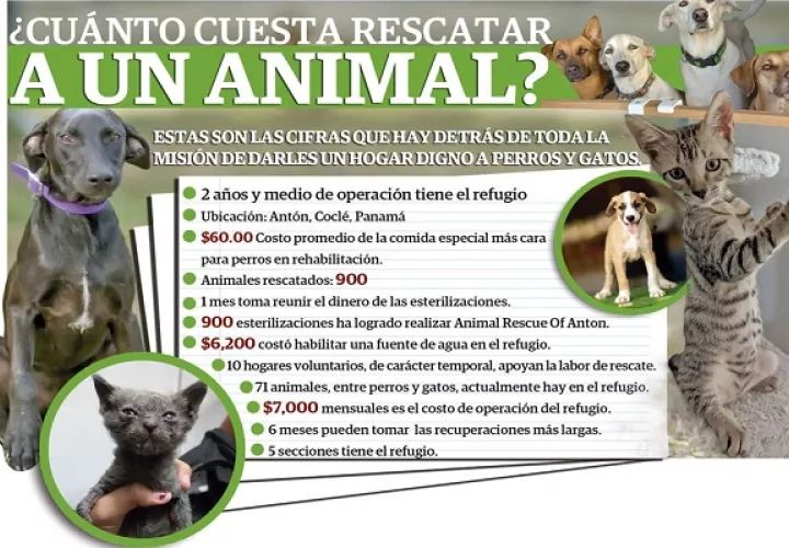 El rescate animal no es una tarea económica. 
