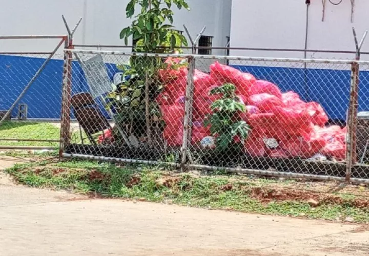 La empresa contratada efectúa la recolección con base en un cronograma que abarca los cinco distritos de la provincia de Panamá Oeste. Foto. Eric Montenegro