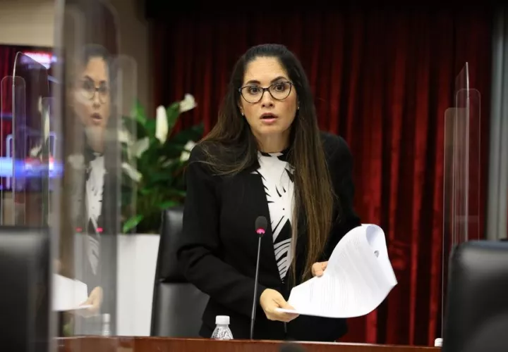 Zulay Rodríguez lamentó que organizaciones defiendan a los criminales. Foto: Asamblea Nacional
