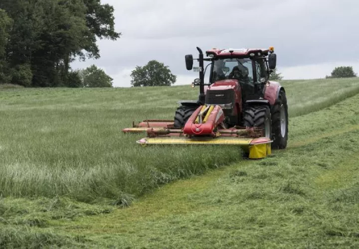 Gobierno y la Cámara de Importadores de Insumos importaron 5 mil 500 toneladas de insumos y fertilizantes agropecuarios que abastecerán el mercado hasta el 2023. Foto:Pixabay