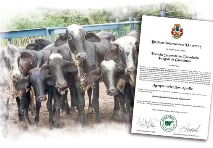 El sello "Vaca Verde" certifica a Agropecuaria Don Arcelio como una empresa lechera ambientalmente responsable.