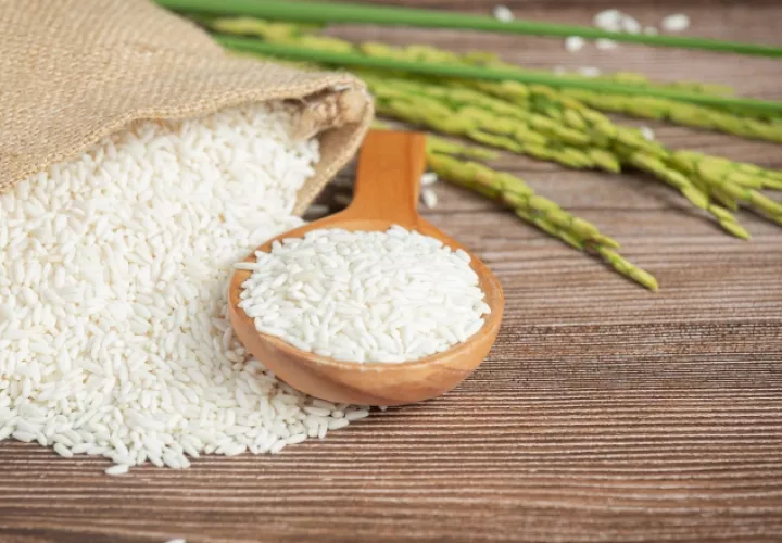Las plantas con el gen potenciado produjeron casi un 10% más de arroz que el grupo de control empleado en las pruebas. Foto: Freepik