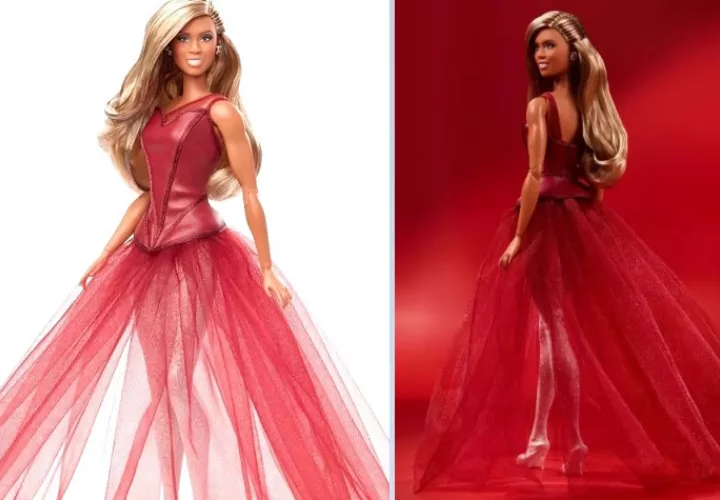 Modelo de la Barbie trans. @valleyofthedolls61
