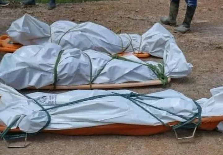 Al menos 52 líderes fueron asesinados durante el primer trimestre en Colombia. Foto:@dijuscolombia