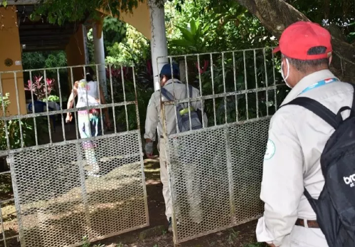 En el distrito de Barú, van 21 casos de dengue clásico, de los 71 que registra Chiriquí. Foto: José Vásquez