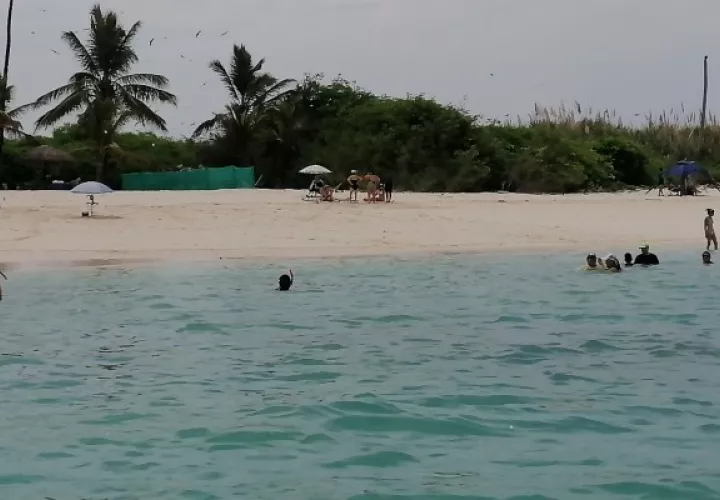 En jornadas de limpieza, los buzos han encontrado y retirado: plásticos, llantas, redes de pesca y líneas de pesca, entre los corales. Foto. Thays Domínguez