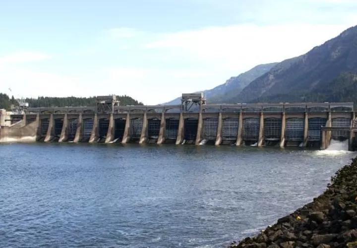 En torno al lago Bayano hay un importante movimiento comercial, económico y social. Foto: Grupo Epasa
