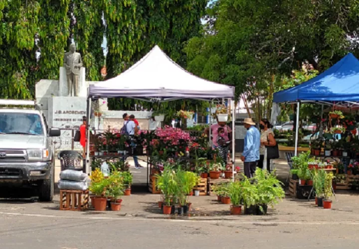 Estos puestos de buhonerías rodean la estatua erigida en honor a Juan Demóstenes Arosemena. Foto: Melquiades Vásquez 