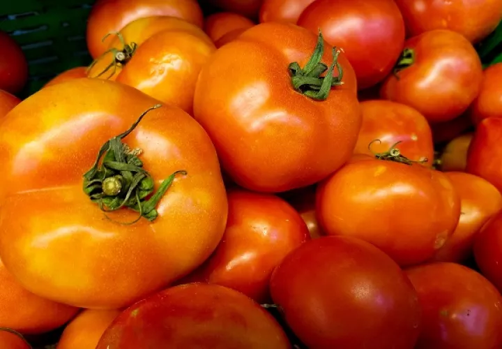 Los tomates con altas cantidades de plaguicidas fueron destruidos. Foto: Pexels