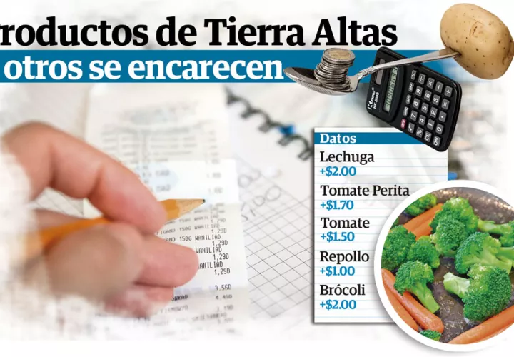 Consumidores el eslabón más débil de la cadena alimentaria. Foto: Epasa