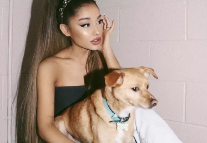 Ariana Grande es una de ellas.  Instagram / ALFREDO FLORES
