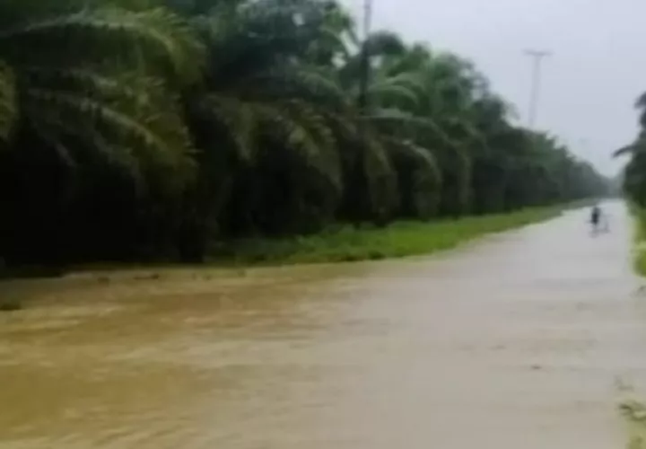 Se han desbordado los canales de las antiguas bananeras y el río Palo Blanco en Barú. Foto: Cortesía Sinaproc