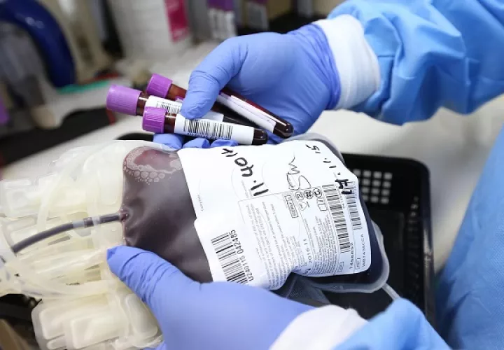 Según algunos informes cada 3 segundos alguien necesita sangre, pero sin una conciencia generalizada respecto a la importancia de la donación voluntaria, el potencial de salvar vidas se reduce. 