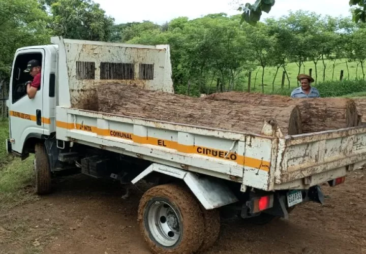 La madera había sido hurtada en la madrugada del pasado domingo. Foto / Thays Domínguez.