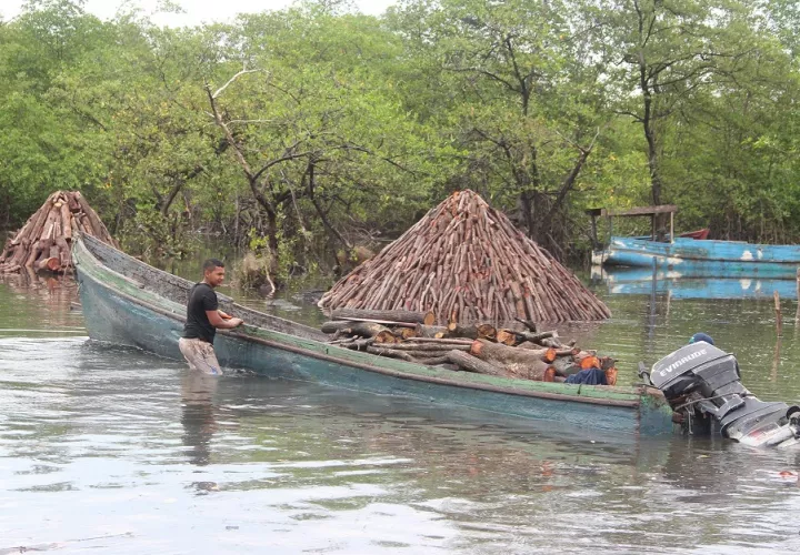 Se contempla la compra de lanchas para incentivar a los carboneros a la pesca artesanal. Foto: Eric A. Montenegro