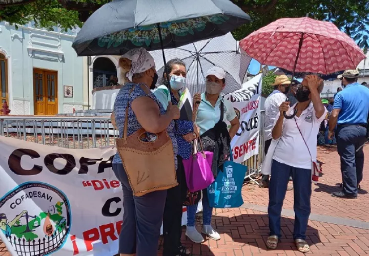 Un clima caluroso acompañó a los manifestantes, quienes se concentraron cerca de la Presidencia. Foto: Francisco Paz