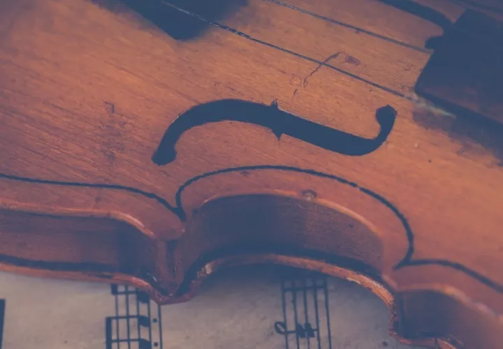 Este festival reunirá a más de 300 músicos nacionales e internacionales. Foto: Ilustrativa/Pexels