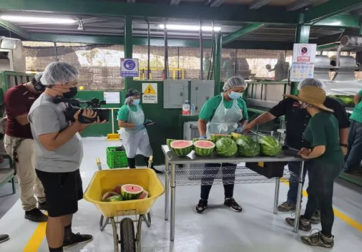 La cifra representa un incremento en las agroexportaciones de $14,4 millones, en comparación al mismo periodo al año 2021. Foto: Cortesía Mida