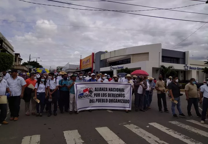 Esta alianza fue la que inició la movilización nacional, el pasado 1 de julio. Foto: Cortesía AEVE