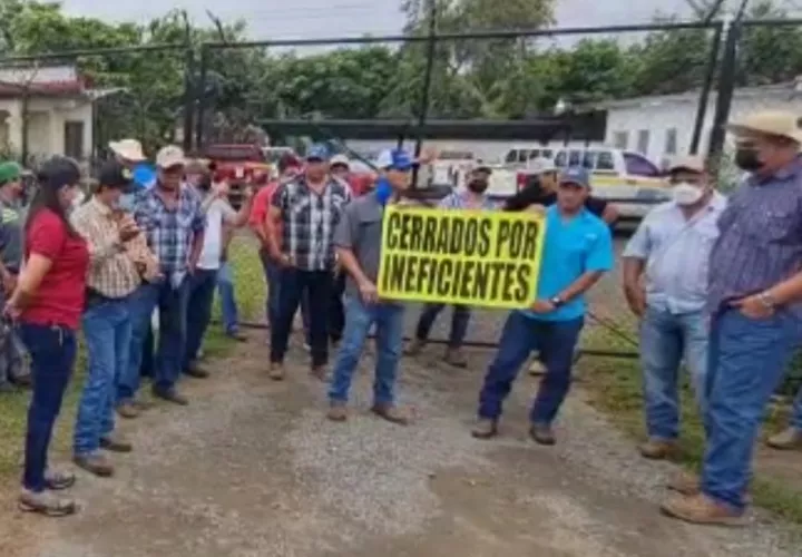 Los productores colocaron cadena y candado a la entrada. Foto: Thays Domínguez