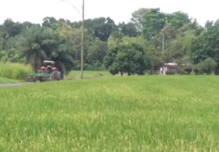 El dirigente calificó como delicada la situación del sector agropecuario, en especial debido a que el estado tendrá que compensar al productor para hacer frente a los costos de producción. Foto. José Vásquez