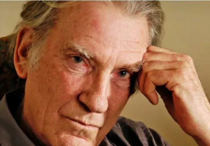 David Warner. Foto: EFE