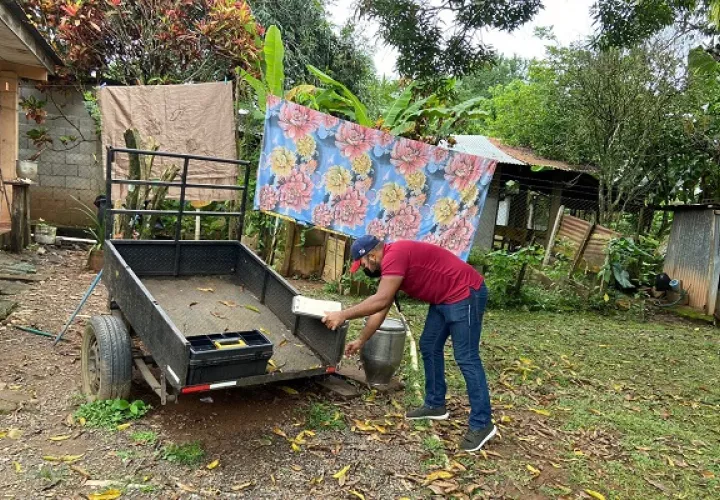 De los cinco casos detectados en este mes, cuatro corresponden a Tonosí, que acumula más del 50%. Foto. Thays Domínguez