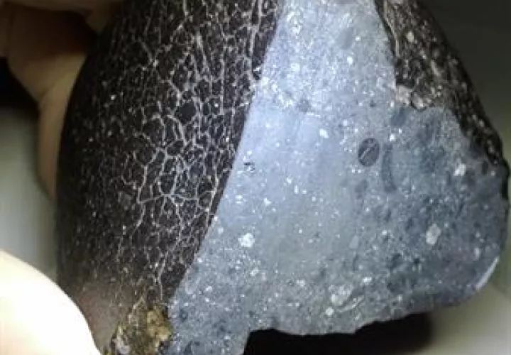 Fragmento del meteorito "belleza negra".