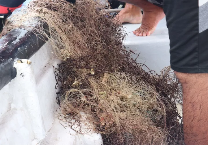 Los aparejos de pesca abandonados en oceános, afectan la diversidad de las especies marinas. Foto: Cortesía Arap