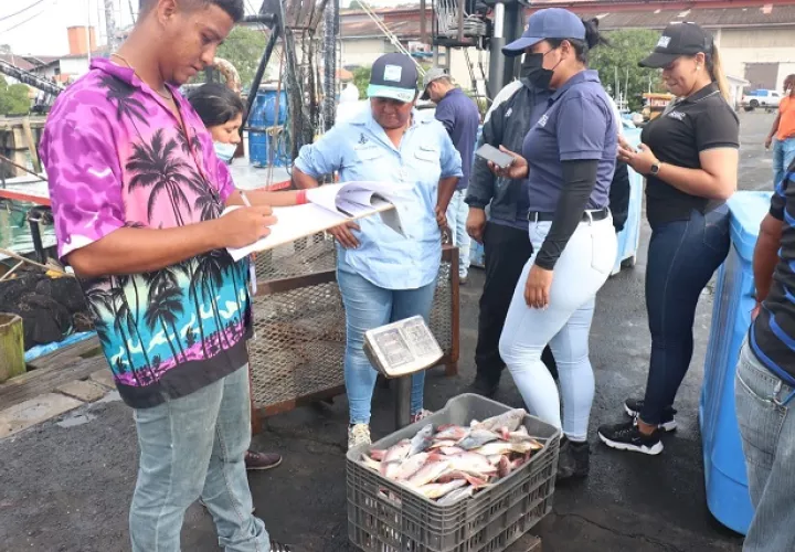  Se decomisaron 502 libras de pescado y 89 libras de langostinos a la motonave. Foto: Cortesía ARAP