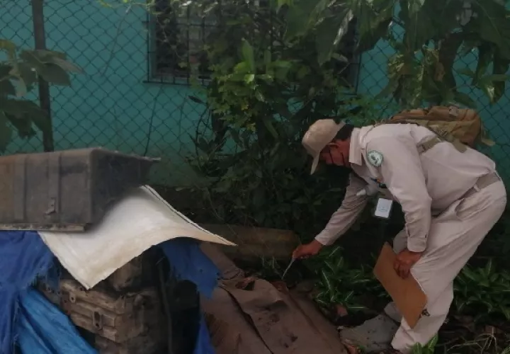 El jefe regional de Control de Vectores, Patricio Camarena, reiteró la necesidad de eliminar los reservorios de agua que sirven de criaderos a los mosquitos y evitar tirar neumáticos y otros objetos en servidumbres públicas y en áreas verdes. Foto. Mayra Madrid