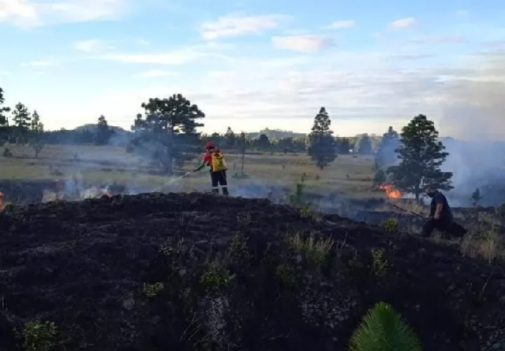 Datos de la Sección de Verificación del Desempeño Ambiental (Seveda) dan a conocer que este año, en la provincia, se afectaron en menor escala unas cien hectáreas localizadas en puntos cercanos y zona de amortiguamiento a las áreas protegidas. Foto. Ilustrativa