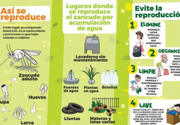 Panamá acumula más de 3,831 casos de dengue a nivel nacional. Foto: Grupo Epasa