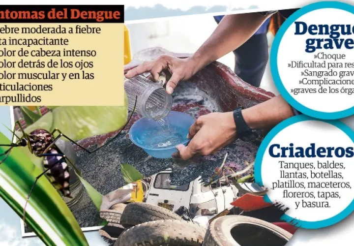 Panamá acumula más de 3,831 casos de dengue a nivel nacional. Foto: Epasa
