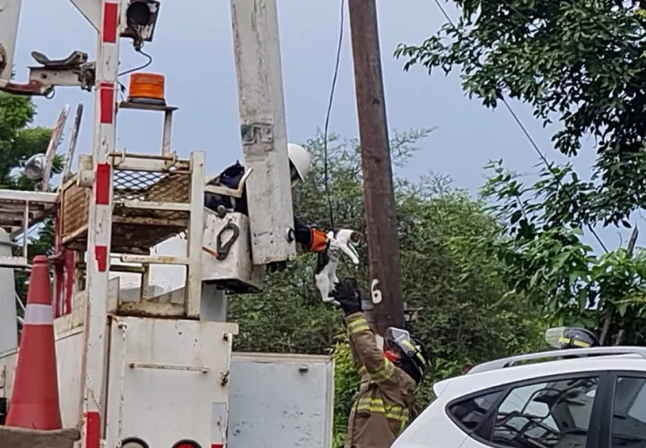 Se realizaron las coordinaciones con la empresa eléctrica para realizar el rescate. Foto: Thays Domínguez
