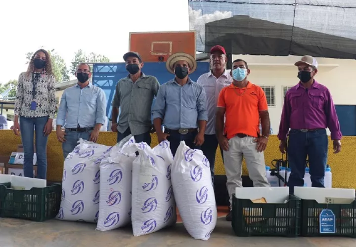 Los productores acuícolas beneficiados son de las comunidades de El Toro, El Ciprián, El Suay, Los Llanos y El Yerbo, pertenecientes a Las Minas y Ocú. Foto. Cortesía Arap