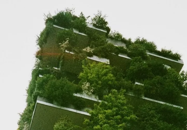 Conozca las razones por las que podrían optar por esta opción de jardines.  Foto: Ilustrativa / Pexels
